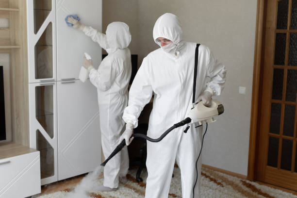 Best Attic Mold Remediation in Hoxie, KS